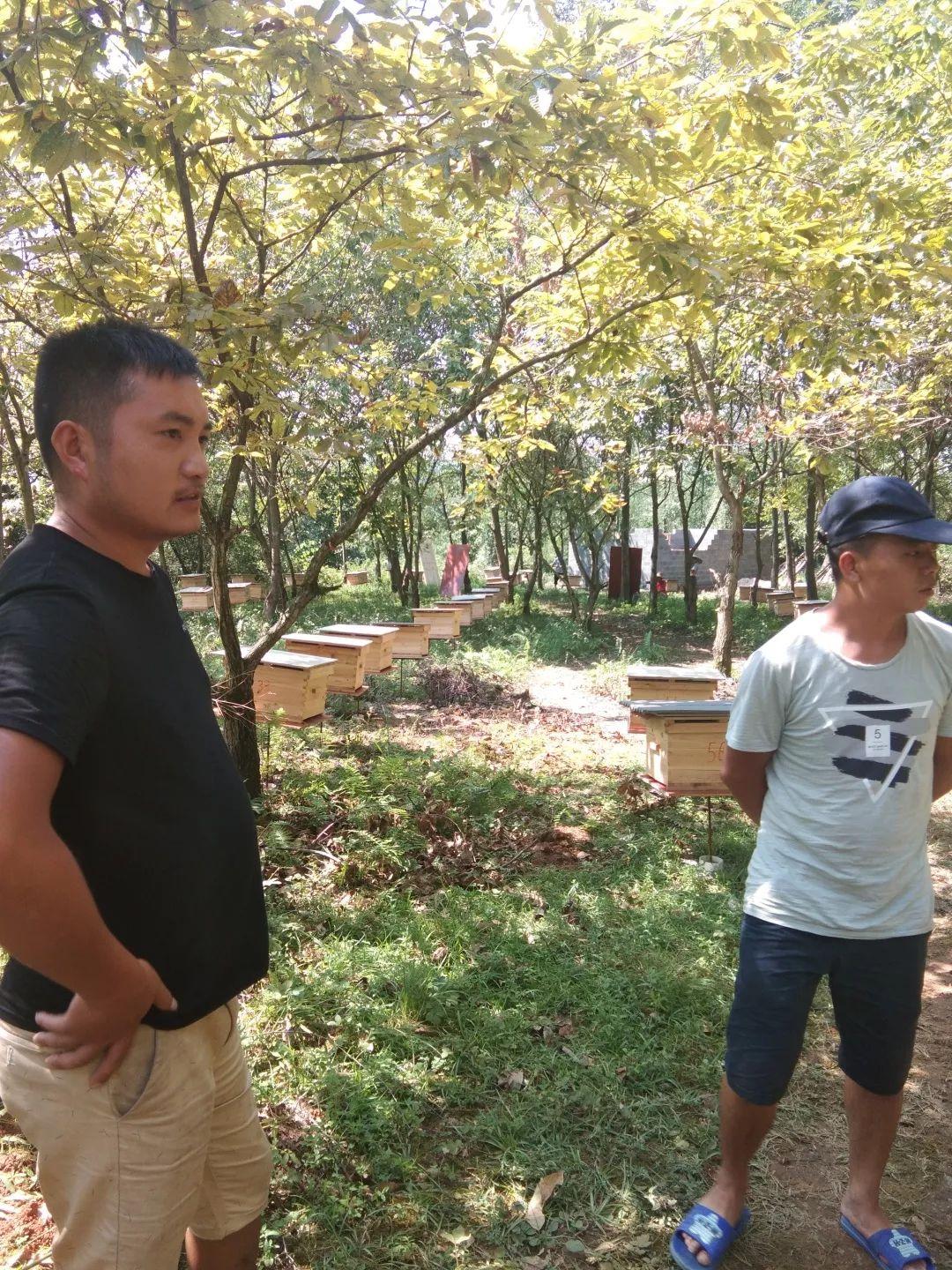 十八大感悟，新时代的引领与启示