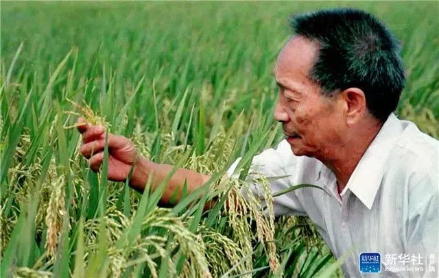 袁隆平孙子的成长之路
