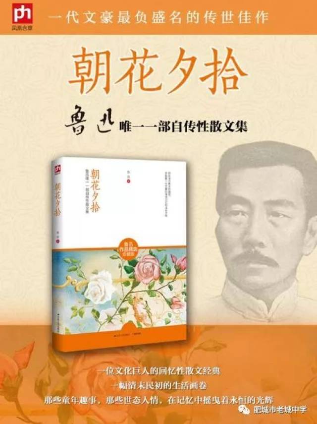 读朝花夕拾有感，旧事重提，情感流淌