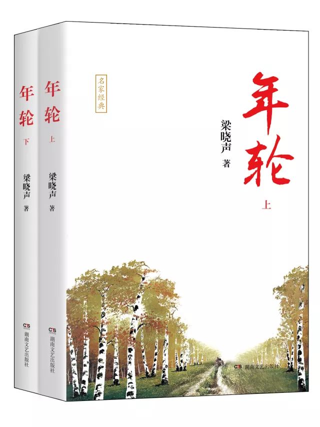 穆斯林的葬礼，一部跨越文化与信仰的深度之作