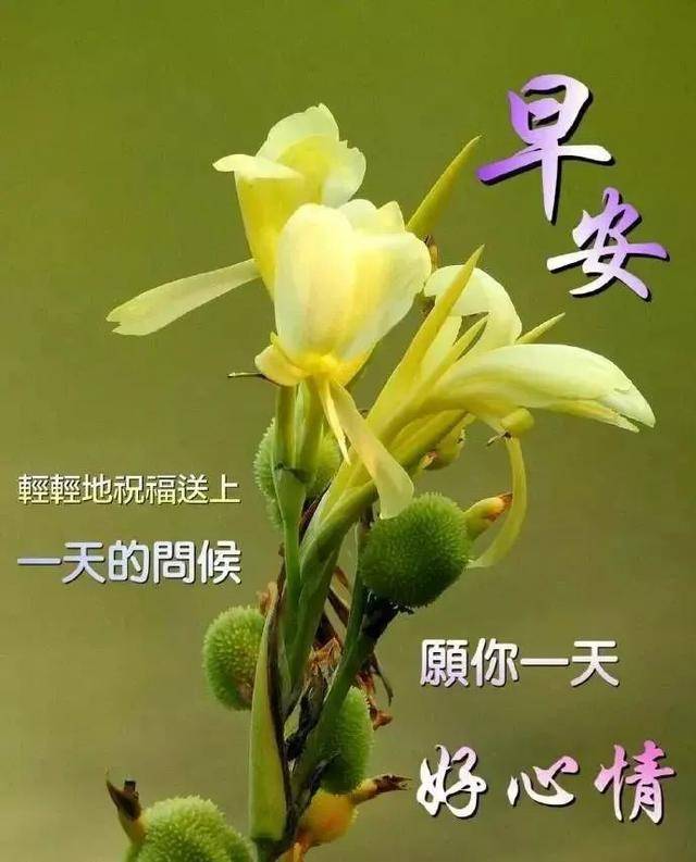 早安的问候语，开启美好的一天