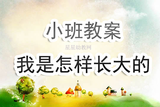 幼儿园大班教学反思，探索与成长的步伐