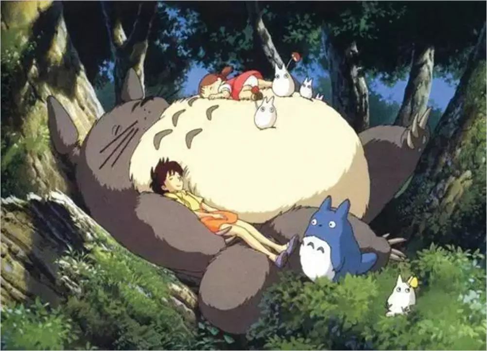 龙猫观后感，自然与生活的和谐共鸣
