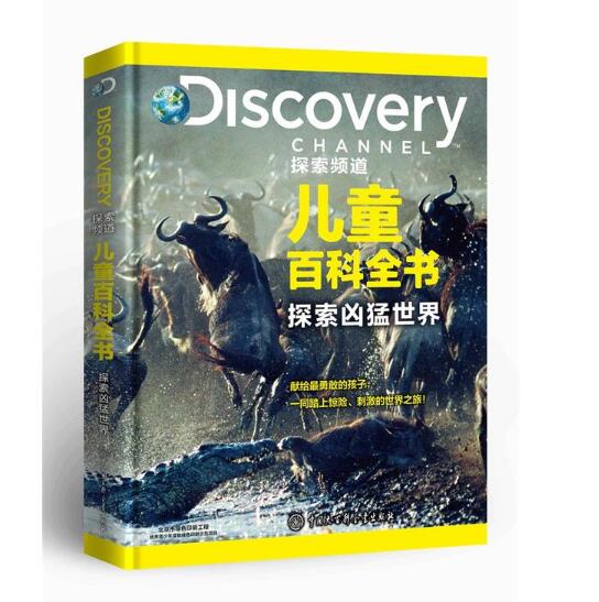 男孩的冒险书，探索未知世界的神秘之旅