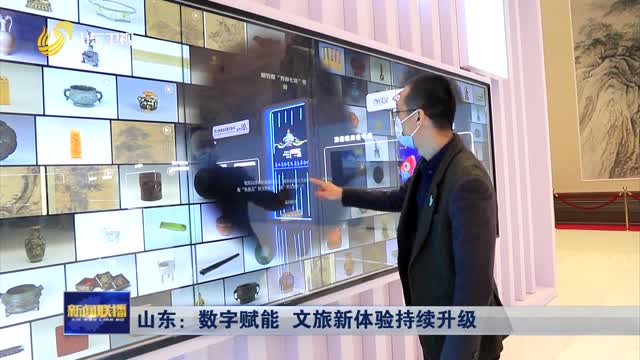 山东挑号网，引领数字化时代的全新体验