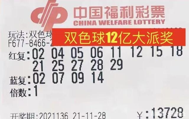 双色球投注表图片，揭秘彩票背后的策略与乐趣