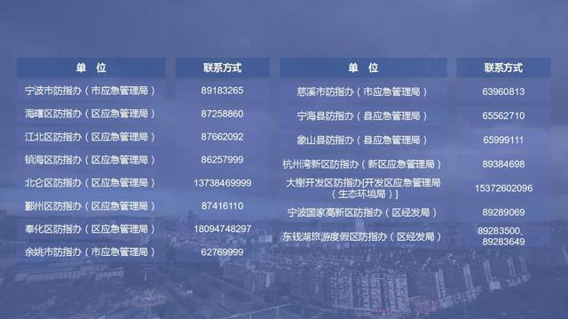 初影 第22页