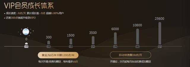 VIP答案的独特魅力与深度解析