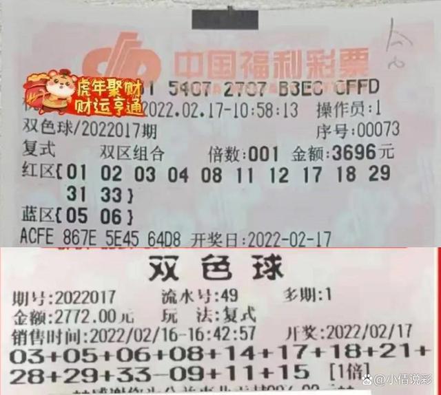 双色球开奖记录电子版的魅力与便捷性