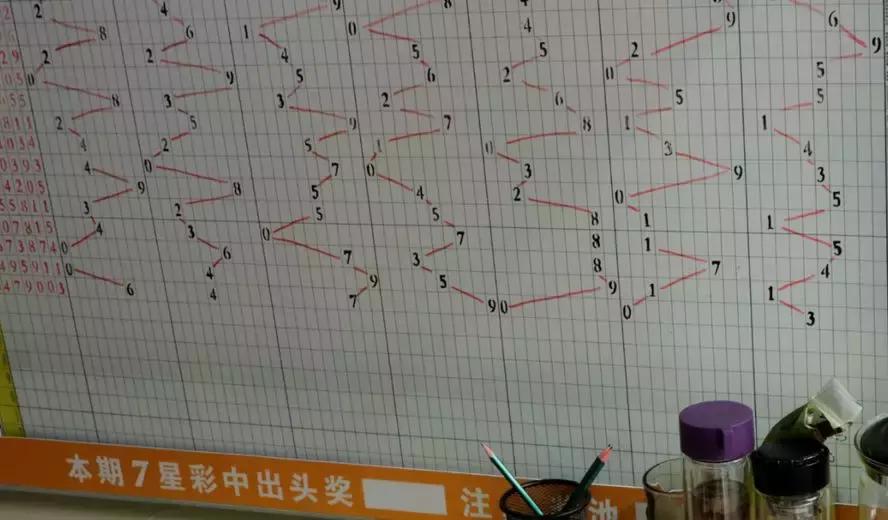 探索体育彩票走势图的奥秘，何处寻找预测与策略