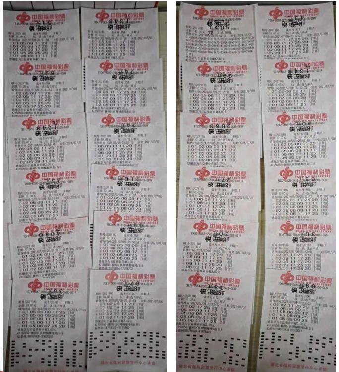 彩票8+3投注方式及其价格解析