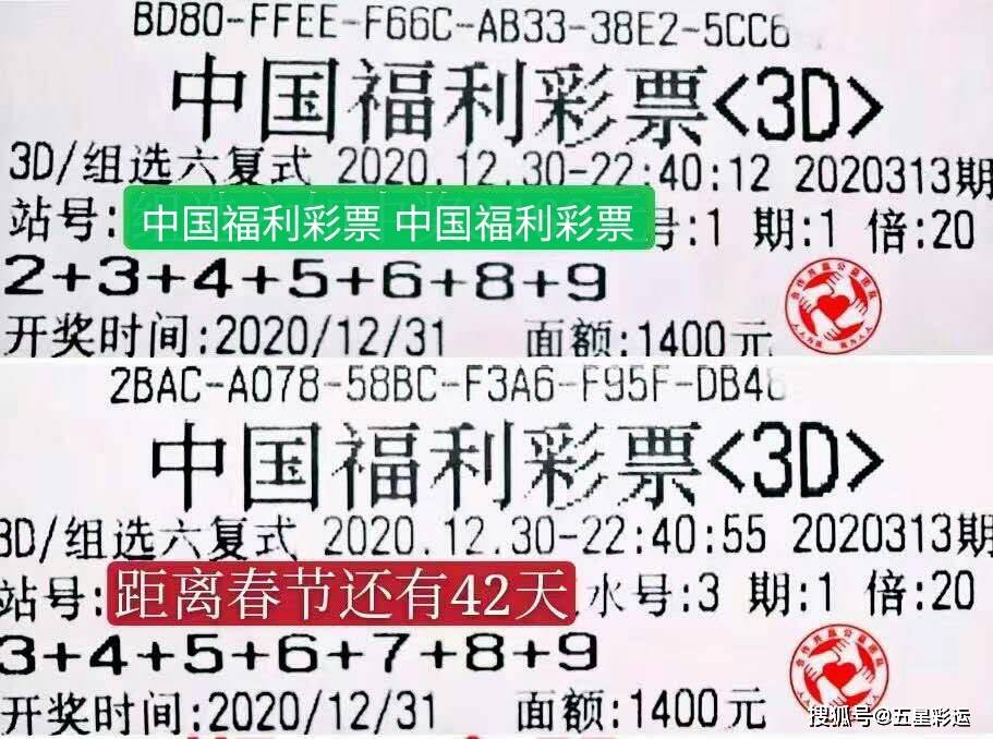 彩票3D走势图500网专业版，解读数字世界的秘密