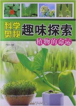 探索未知，沙棘松针油与今晚3D开奖的神秘面纱