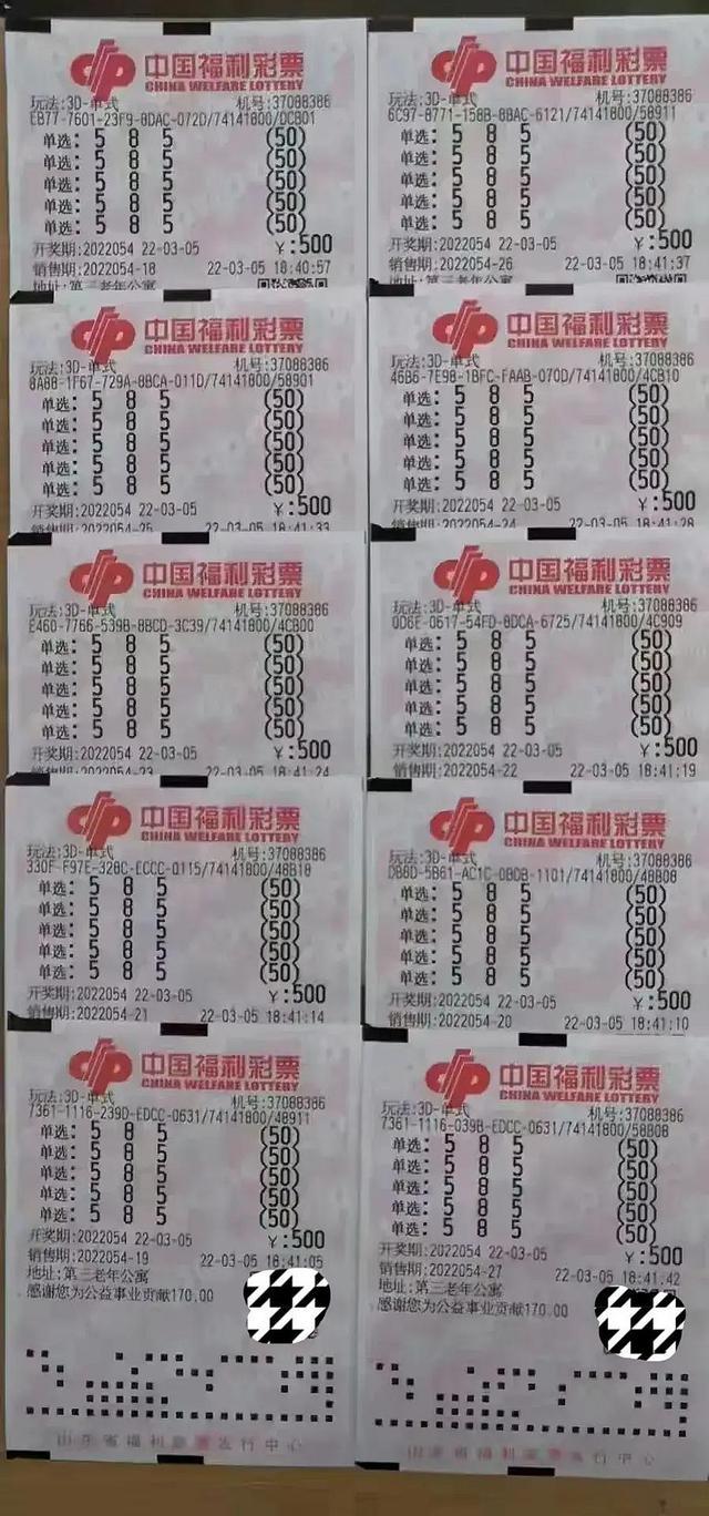 今日三D开奖结果奖，探索数字世界的幸运之旅