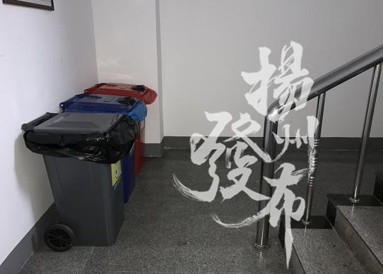 排列35开奖时间的魅力与期待