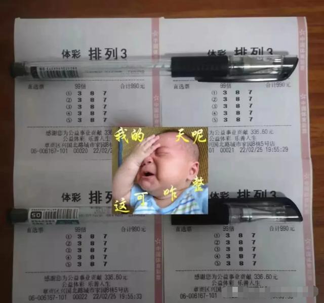 最新开奖结果查询，探索排列5的魅力与奥秘