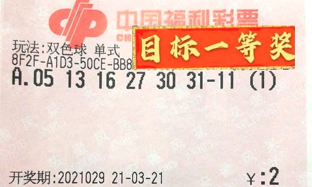双色球福利开奖结果查询结果的探索与解析