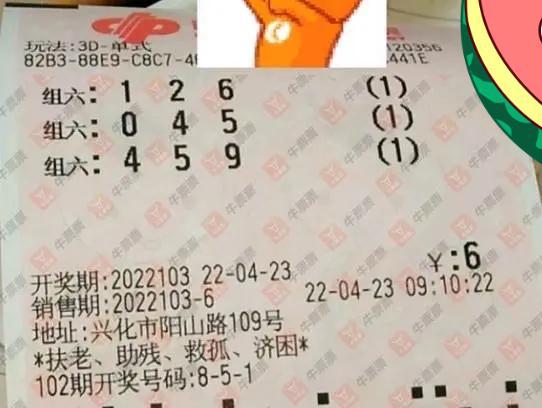 揭秘福利彩票中奖查询号码3D，梦想与希望交织的幸运之旅