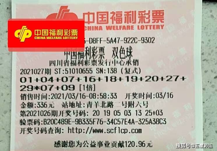 中国体育福利彩票中奖查询，梦想与希望交织的幸运之地