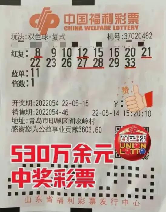 上海福彩三D开奖结果，探索彩票背后的故事