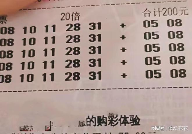 大乐透最新开奖分布图，探索数字与概率的奥秘