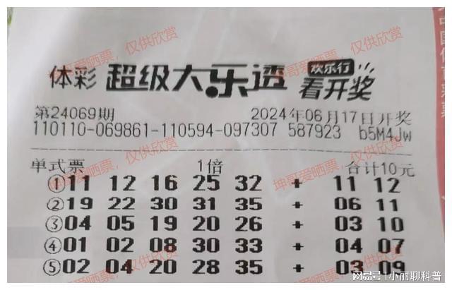 大乐透最新开奖走势及时更新，探索随机性与数据分析的微妙平衡