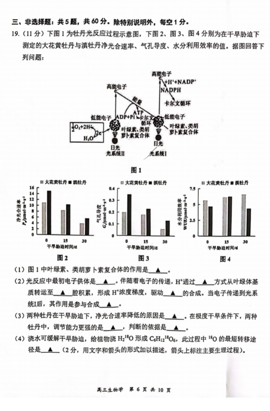 彩宝网排列三试机号今天的研究与探索