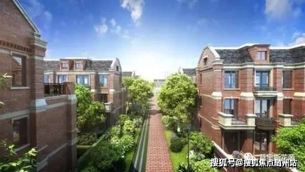 大乐透近期开奖数据深度解析